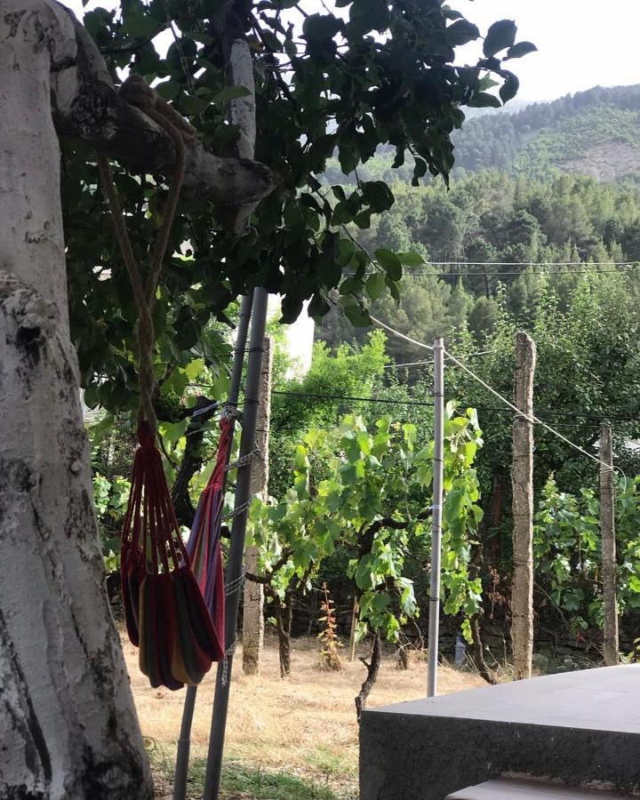 Guesthouse "Shtepia Ime" Πρεμετή Εξωτερικό φωτογραφία