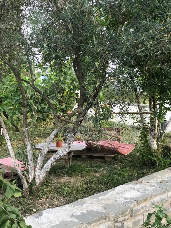 Guesthouse "Shtepia Ime" Πρεμετή Εξωτερικό φωτογραφία