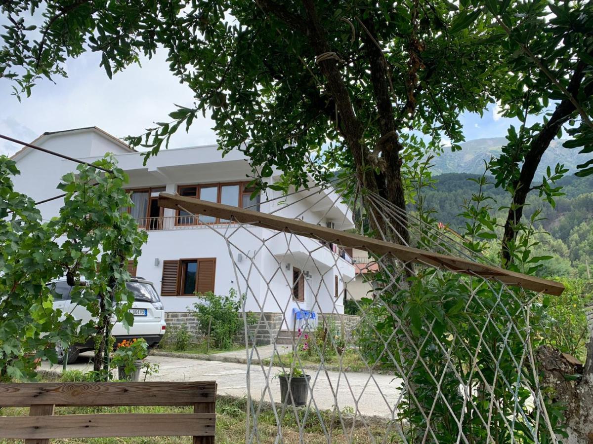 Guesthouse "Shtepia Ime" Πρεμετή Εξωτερικό φωτογραφία